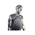 thumbnail image 2 of Chaleco Black Bike protector para cuerpo estrella Talla L negro, 2 of 4