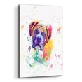 thumbnail image 2 of Epic Art 'Colorful Watercolor Boxer' by Furbaby Affiliates, Acrylic Glass Wall Art, 12"x16", 2 of 8