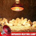 thumbnail image 2 of 240V Infra Red Heat Lamp Poultry Brooder Chicks Waterproof Hatching Puppies Piglet Bulb New, 2 of 2