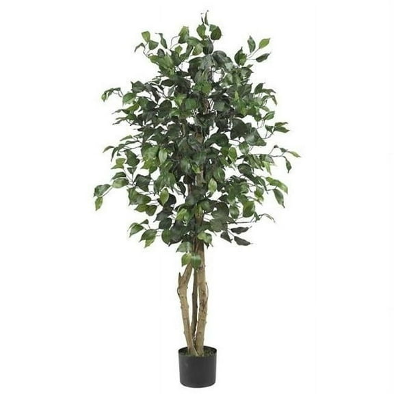 4 ft. Ficus Silk Tree