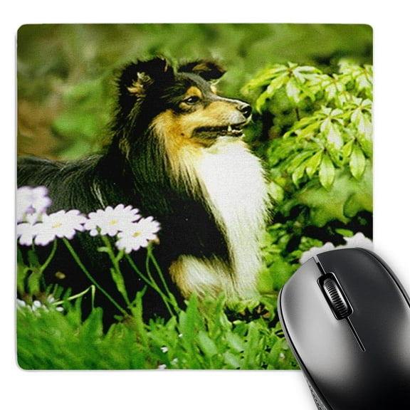 3dRose, Sheltie, MousePad