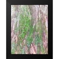 thumbnail image 2 of Grayscale 19x24 Black Modern Framed Museum Art Print Titled - Bark and Moss II, 2 of 5