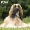 Afghan Calendar 2018 - Dog Breed Calendar - Wall Calendar 2017-2018