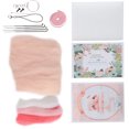 thumbnail image 1 of Kit de fieltro de aguja, lana, fibra química, bricolaje, animal, juguete hecho a mano, manualidades para principiantes(188# Ballet Pig), 1 of 8