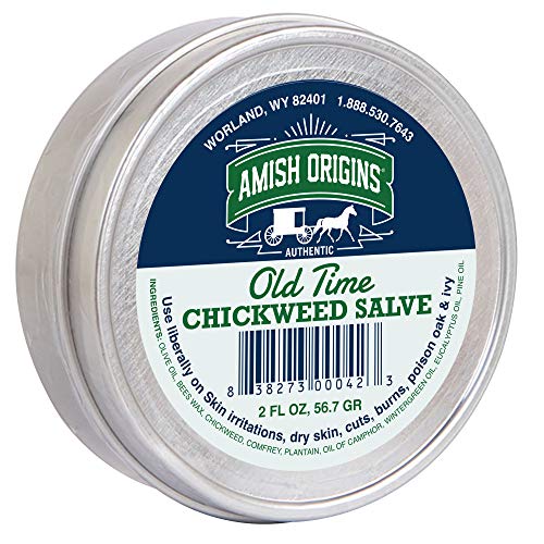 Amish Origins Old Time Chickweed Salve 2 oz The Ultimate Poison Ivy