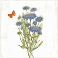thumbnail image 2 of Schlabach, Sue 26x26 White Modern Wood Framed Museum Art Print Titled - White Barn Flowers IX Sq, 2 of 4