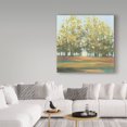 thumbnail image 3 of Trademark Fine Art 'Aspen Grove I' Canvas Art by Julia Purinton, 3 of 3