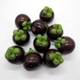 thumbnail image 4 of 10pcs Simulated Mangosteens Foam Fake Mangosteens Simulations Fruit Model Photo Props Early Education Toy Shop Display, 4 of 8