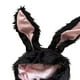 thumbnail image 5 of 2 sombreros con orejas de conejo, para la foto de Pascua, 5 of 5