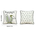 thumbnail image 2 of A Easter Pillow Cover Double Sided Cushion Case Bunny And Eggs Pattern Pillowcase With Festive Design Invisible Zipper And Easy-Clean Polyester Fabric For Living Room Bedroom And Holiday D, 2 of 7