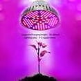 thumbnail image 4 of Lámpara de cultivo de plantas de interior para complementar la luz solar, lámpara de cultivo de espectro completo de alta eficiencia que acelera el crecimiento y aumenta el rendimiento, segura y, 4 of 8