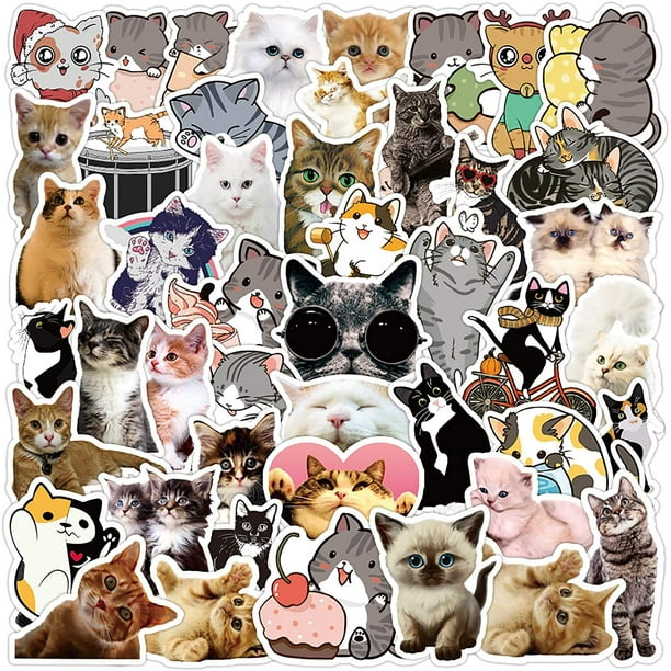 Cat Stickers, 50 Pcs