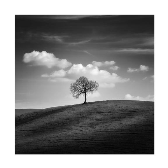 Trademark Fine Art Thomas de Franzoni Glory To The Brave Canvas Wall Art