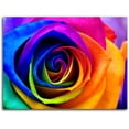thumbnail image 5 of HFDF Colorful Rose Canvas Patg Wall Art Nature Flower Still Life Artwork Modern Floral Wall Pictures for Livg Room Bedroom Home Decoration 10x8inch Framed, 5 of 6
