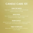 thumbnail image 6 of Yankee Candle Signature Large 2-Wick Candle, Sicilian Lemon, 20 oz, 6 of 8