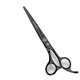 thumbnail image 1 of Tijeras de peluquería profesionales de 6 pulgadas, de acero inoxidable, con hojas de precisión y mango ergonómico, color negro., 1 of 4