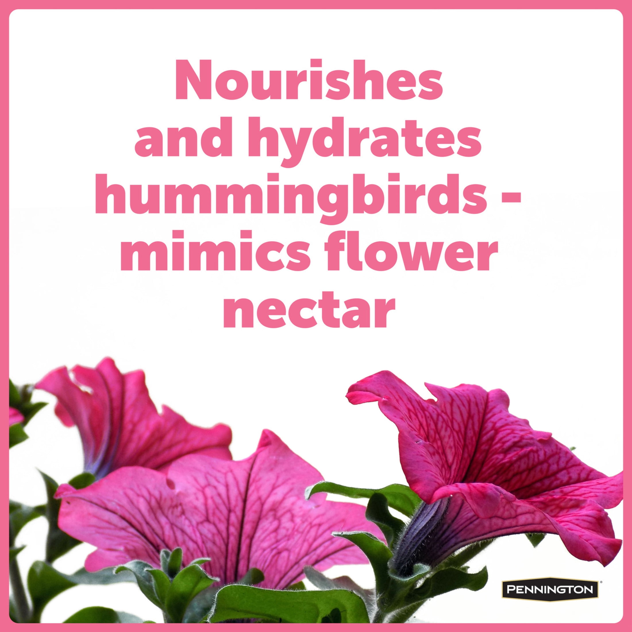 (2 pack) Pennington Premium Electro Nectar Liquid Concentrate Hummingbird Food, Hummingbird Nectar, 16 oz., 1 Pack