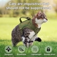thumbnail image 4 of Pet Artist Adjustable Pet Cat Puppy Harness Vest No Pull with Handle for Small Dogs Chihuahua Yorkshire, 4 of 8