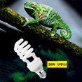 thumbnail image 1 of Bangcool Heat Bulb Creative 13W/26W 220V E27 Reptile Light Pet Heat Light, 1 of 10