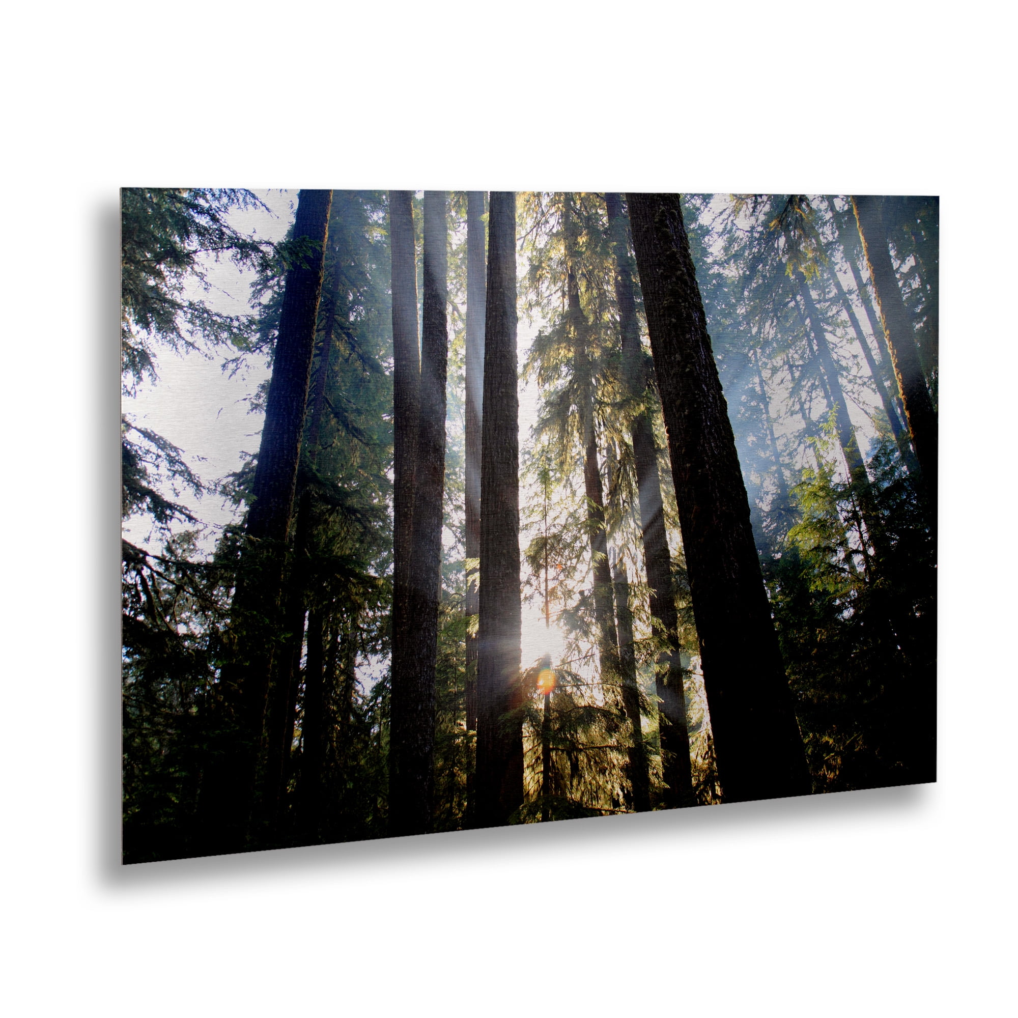Trademark Fine Art 'Sunrays' Brushed Aluminum Wall Art Art by Pierre Leclerc
