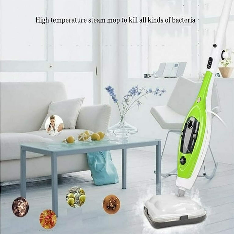 Dayplus Lightweight Steam Mop Floor Cleaning Carpet, 10-in-1 Handheld & Upright Steamer, Size: Medium, Green
