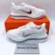 thumbnail image 1 of Nike Pegasus Premium Running White Metallic Silver HQ2592-102 Men's Size US 7-12, 1 of 6