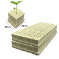 thumbnail image 3 of Crecer Cubos 100 Uds. Tapones de arranque cubos de cultivo ventilados para propagación de plantas (40mm), 3 of 6