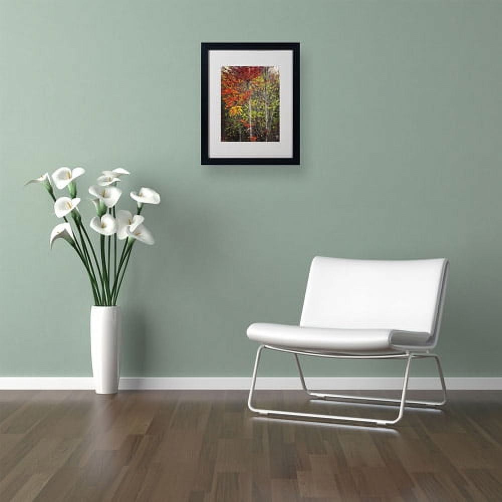 Trademark Fine Art "Color Touch" Canvas Art by Philippe Sainte-Laudy, Black Frame