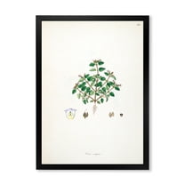 Designart 'Ancient Plant Life XIII' Farmhouse Framed Art Print