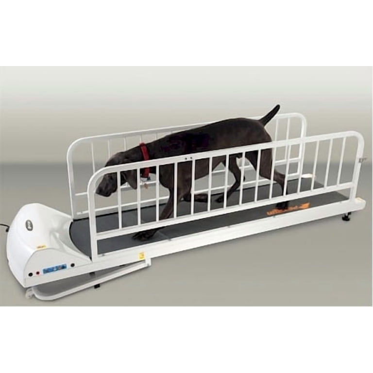 GoPets PetRun PR725 Dog Exercise Treadmill - Walmart.com