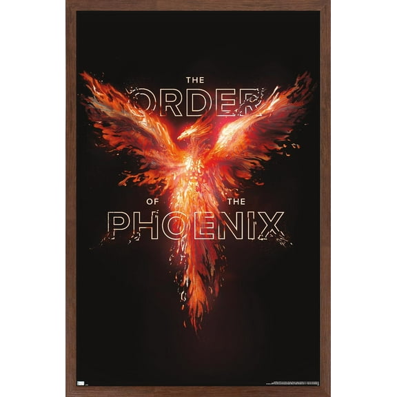 Harry Potter - Order of the Phoenix Magic Wall Poster, 14.725" x 22.375" Framed