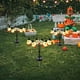 thumbnail image 4 of Luces Led Solares para Exteriores, Ideales para Decoraciones de Halloween y para Iluminar El Jardín., 4 of 6