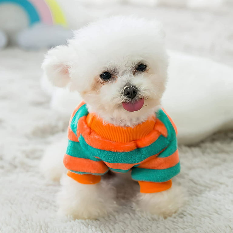 girl dog outfit