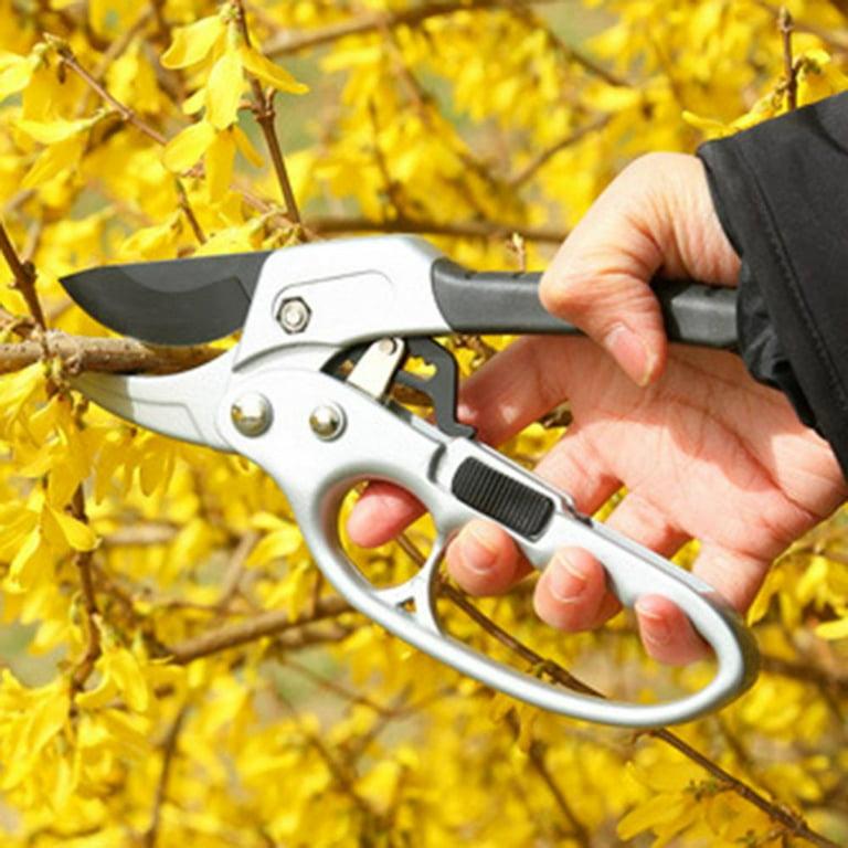 Muerk 3 Pack Garden Pruning Shears Stainless Steel Blades Handheld Pruners  Set with Gardening Gloves 
