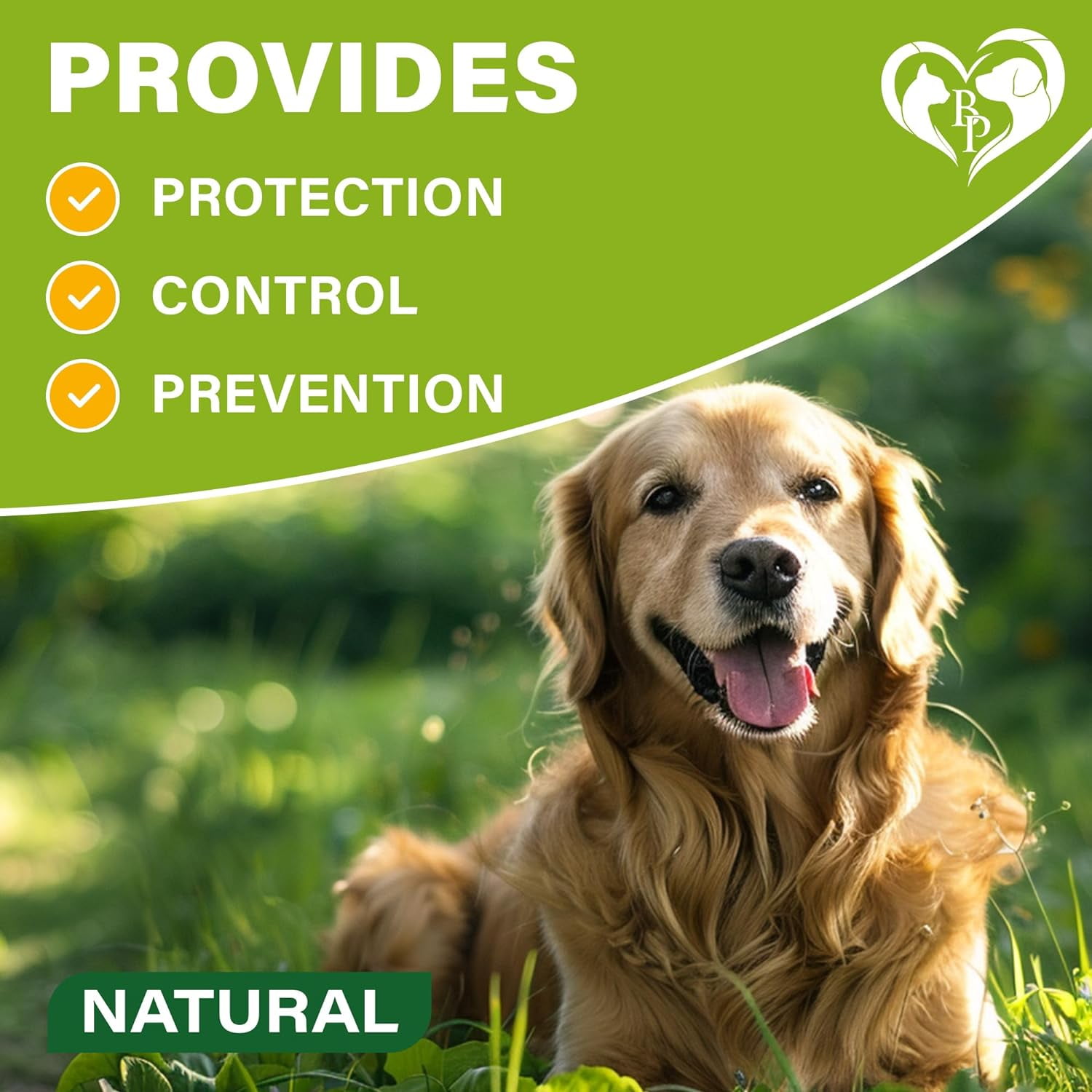 Natural Flea & Tick Collar for Dogs - 12 Months of Prevention & Safe Treatment, Anti-Flea and Tick Essential Oil Repellent (1 Pack, 2 Count)