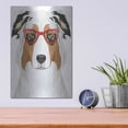thumbnail image 4 of Luxe Metal Art 'Australian Shepherd Wearing Hipster Glasses' by Olga and Alexey Drozdov, Metal Wall Art, 12"x16", 4 of 7