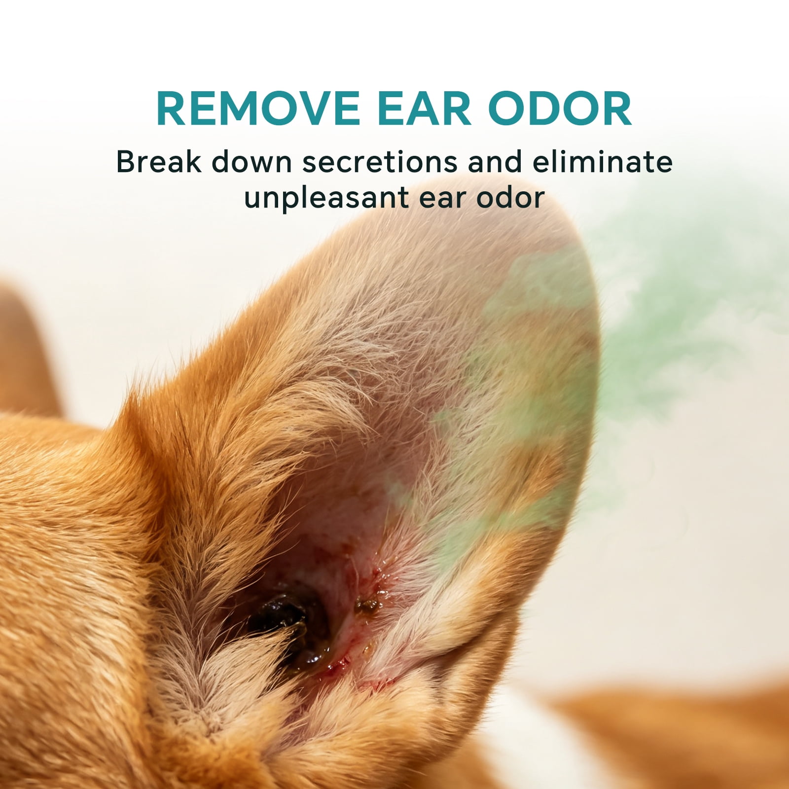 Pet Ear Drops for Dogs & Cats