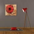 thumbnail image 6 of Epic Graffiti 'Gerbera Italia'  by Art Licensing Studio Canvas Wall Art, 26" x 26", 6 of 8