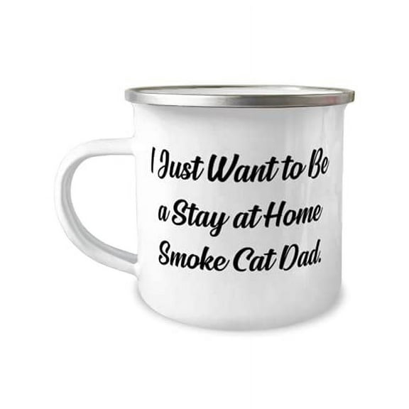 Unique Idea Smoke Cat s, I Just Want to Be a Stay at Home Smoke Cat Dad, Fancy 12oz Camper Mug For Cat Dad From Friends