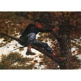thumbnail image 3 of Homer, Winslow 14x11 Black Modern Framed Museum Art Print Titled - Sharpshooter, 3 of 5