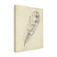 thumbnail image 2 of Trademark Fine Art 'UA CH Feather Sketch II' Canvas Art by Ethan Harper, 2 of 4