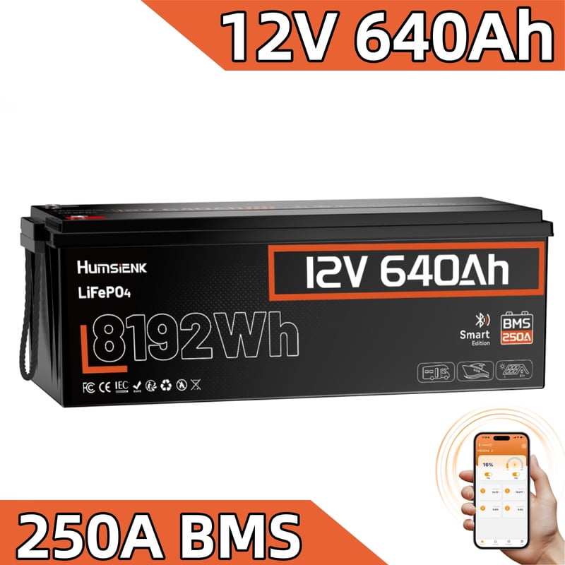 TCBWORTH 12V 100Ah LiFePO4 Lithium Battery, Built-in 100A BMS