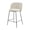 Multi-color, variant on New Pacific Direct Millie Fabric Counter Stool, (Set of 2)