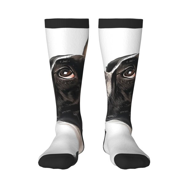 Balery Black And White Boston Terrier Calcetines novedosos Calcetines deportivos Calcetines hasta la rodilla Calcetines de algodón Calcetines originales y geniales