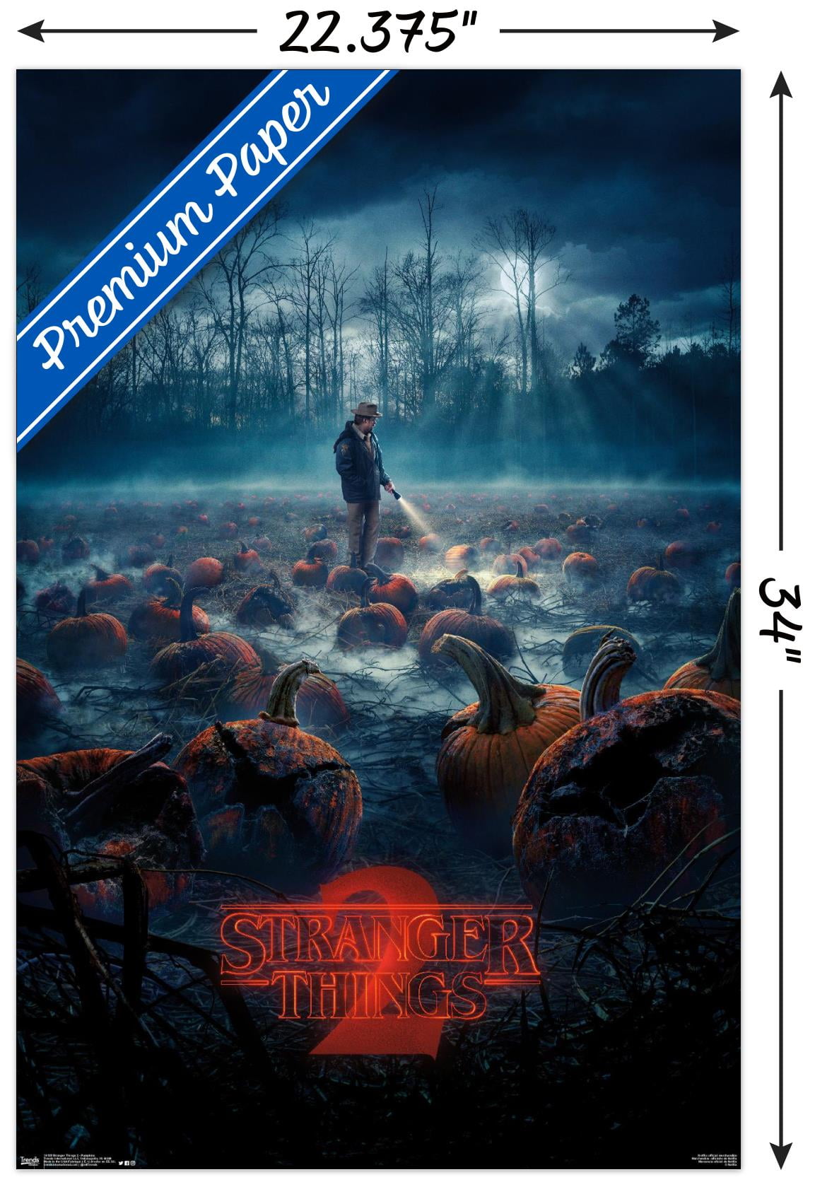 STRANGER THINGS ポスター Netflix Stranger Things - One Sheet Wall Poster, 22.375