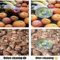 thumbnail image 5 of Efficient Portable Ultra Fruit & Vegetable Washer, 5 of 5