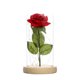 thumbnail image 1 of Flor de rosa eterna del día de San Valentín con luces de cadena de hadas en vidrio (rojo) Likrtyny Para estrenar, 1 of 6