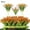 Orange Red, variant on Tutuviw Artificial Grass Fake Shrubs, 8 Pcs UV Resistant Greenery Faux Outdoor Plastic Plants for Home Patio Window Garden Front Porch Decorate (Orange Red)