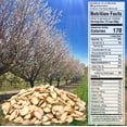 thumbnail image 3 of Mariani Nut - Sliced HHA1&nbsp;Premium California Almonds - Gluten Free, Kosher Certified - Stand Up 2lb Bag (Pack of 1), 3 of 3