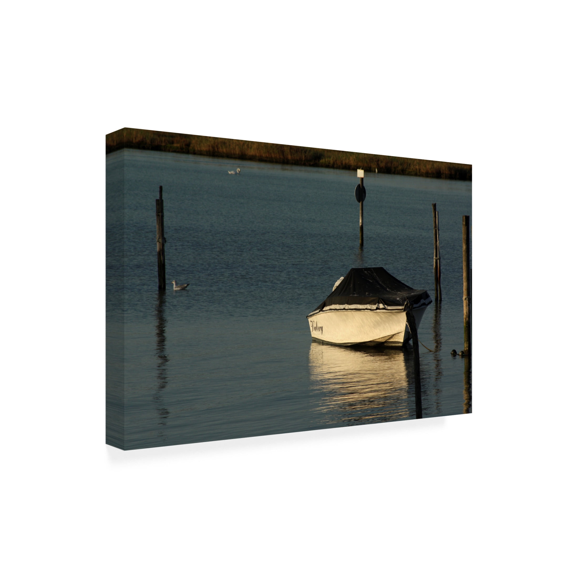Canvas Wall Art - DANE 'Beaches 15' Wall Art for Living Room, Bedroom, or Office Décor by Trademark Fine Art - 47 x 30 Inches